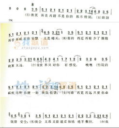 寻找光照的方向，全集免费观看--第1张