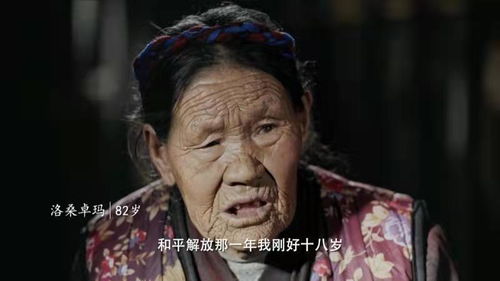 乡村大地 乡村大帝短剧全集免费观看资讯 --第1张