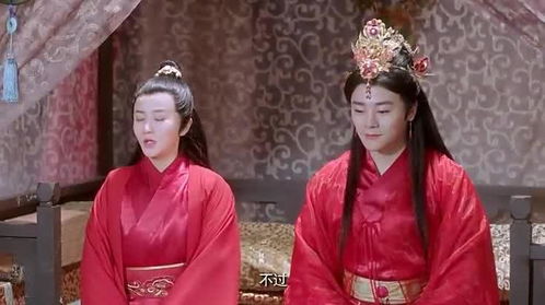 废柴太子妃，废材太子绝地反击免费观看资讯--第1张