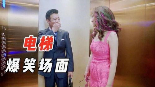 豪门夫人来打工短剧全集免费观看资讯网 豪门夫人来打工短剧全集免费观看资讯 --第1张