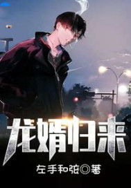 医婿当道，短剧全集免费观看--第1张