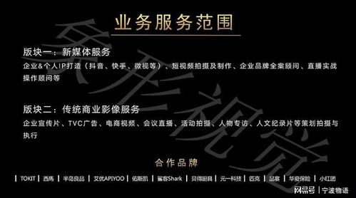 纵横职场职场剧免费观看资讯 纵横职场mp短剧是什么意思--第1张