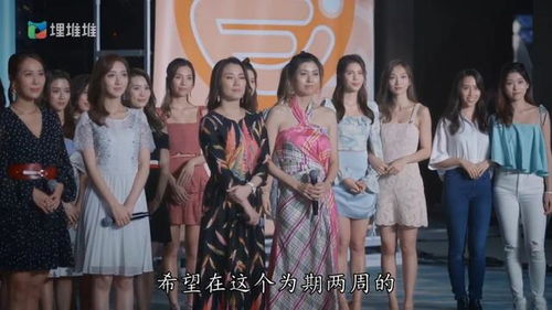 离婚吧！三个师姐等着你！全集免费观看资讯--第1张