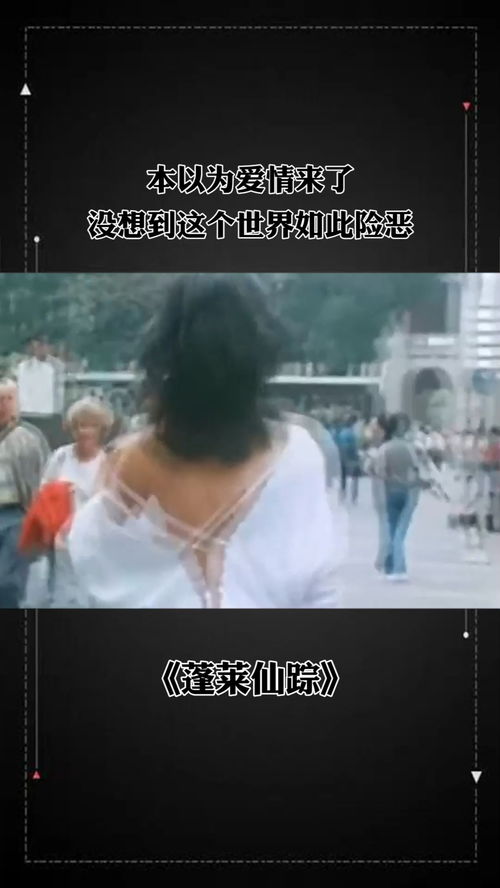 全世界都以为我恋爱了免费在线观看资讯--第1张