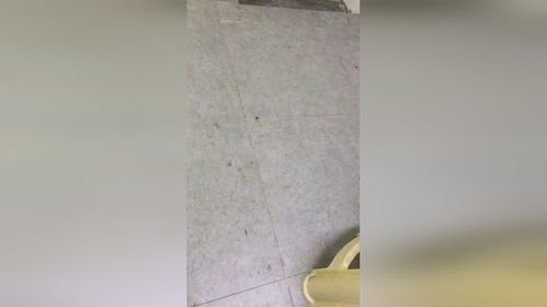 疯批少帅又把小妈沉塘了免费观看全集最新资讯--第1张