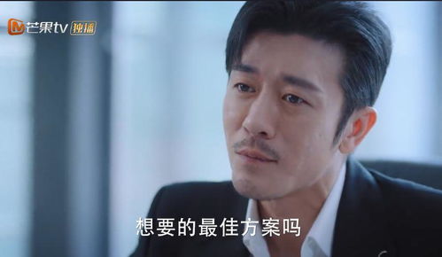 霍先生，你是我的言不由衷，爱情与谎言的较量--第1张