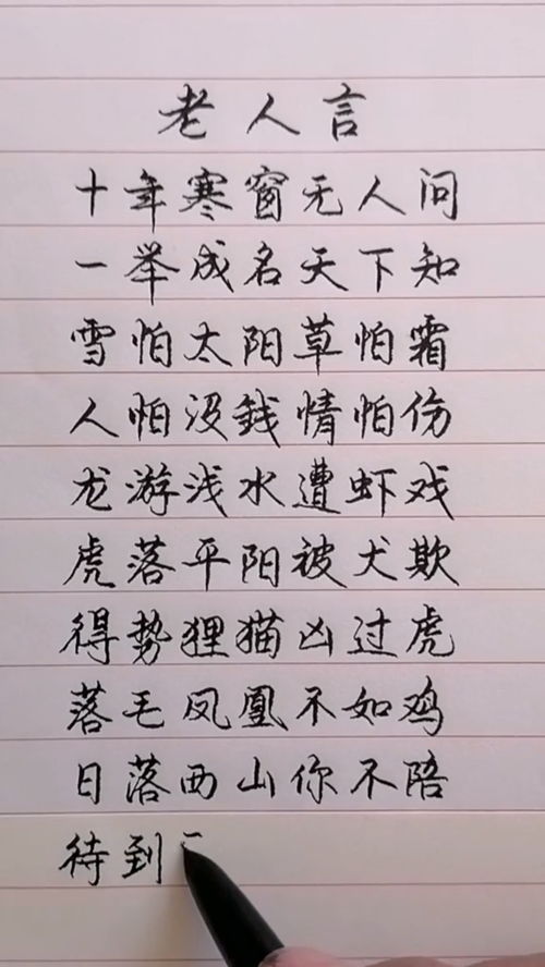 十年寒窗无人问全文 十年寒窗无人问短剧在线免费观看全集资讯 --第1张