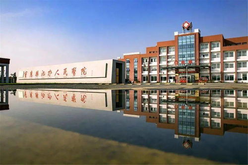 明月照人来短剧在线免费观看全集资讯，明月照人来小说--第1张