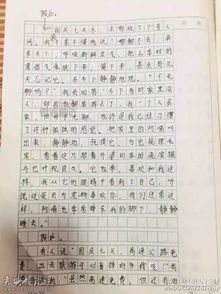 我的双胞胎姐姐作文800字初中 我的双胞胎姐姐飒爆了短剧在线免费观看全集资讯 --第1张