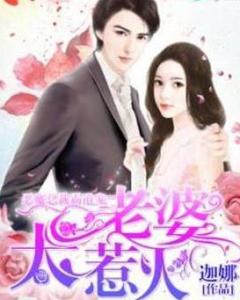 霸道总裁的宠妻儿免费阅读在线观看--第1张