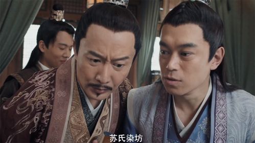 赘婿大结局秦老大_赘婿 秦老 结局--第1张