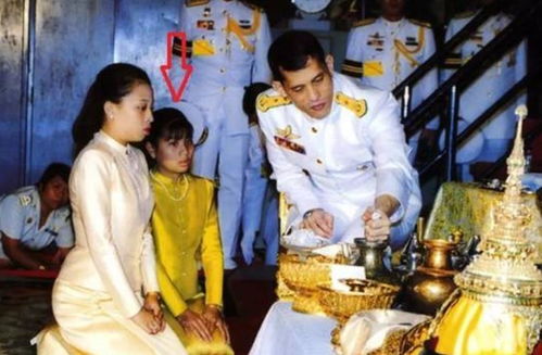 错认千金后，三个大佬哥哥后悔了免费全集在线观看--第1张