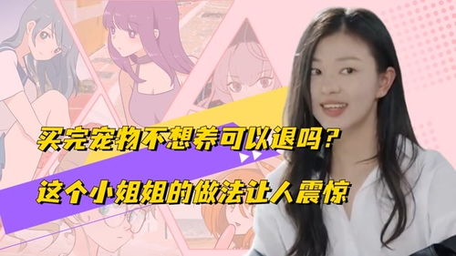 氪金娇妻又凶又甜撩完就跑宁小姐不想负责短剧在线免费观看全集资讯  --第1张