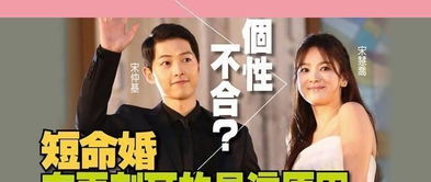 离婚后高冷前妻夜夜数泪，短剧在线免费观看全集资讯--第1张