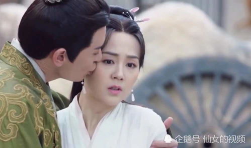 苏寰弃婿，至尊丐婿--第1张