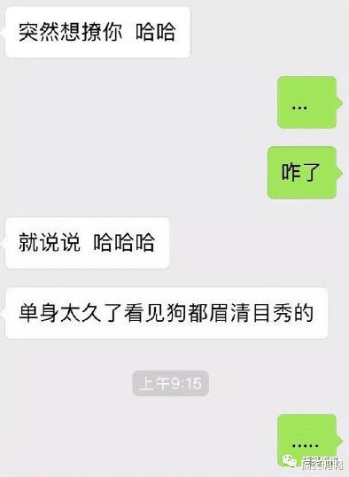 三个哥哥宠着 被三个哥哥找回之后开启虐渣人生短剧在线免费观看全集资讯 --第1张