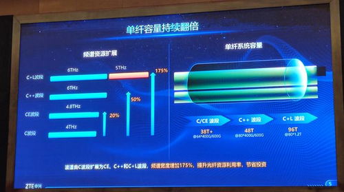 寻找光照的方向，探索光明的未来--第1张