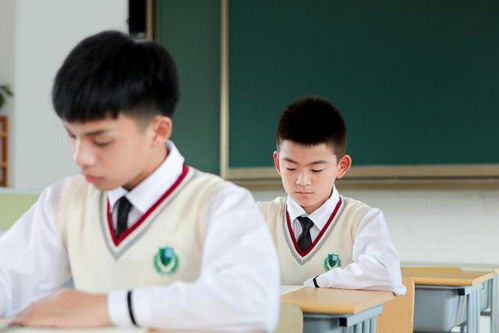 倒计时，再原谅我一次的小楚同学短剧在线免费观看全集资讯--第1张
