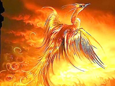 重生之凤凰涅槃电视剧 重生之凤凰涅槃短剧在线免费观看全集资讯 --第1张