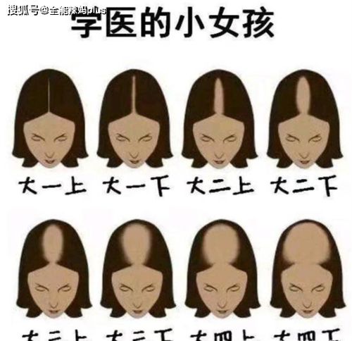 花开正艳整形合版短剧在线免费观看全集资讯 花开正艳下一句是 --第1张