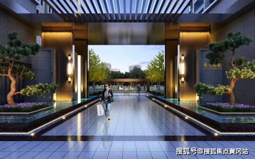 化龙电视剧全集免费在线观看资讯--第1张