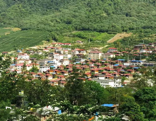 闪婚厉先生的马甲藏不住了全集免费在线观看资讯--第1张