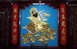 天师下山，科学的力量与神秘力量的对决--第1张