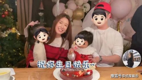 一胎双宝，爹地宠妻要趁早--第1张