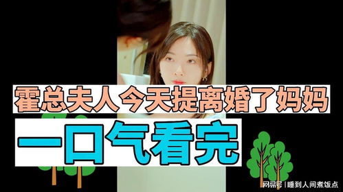 霍总今天夫人提离婚了吗？剧情解析--第1张