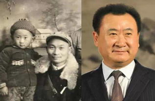 龙隐于市小说 龙隐于田老农父亲是大佬短剧剧情资讯 --第1张