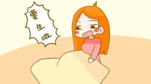 一胎四宝爹地跪在产房痛哭流涕新命中注定我爱你短剧剧情资讯 一胎四宝转走爹 --第1张