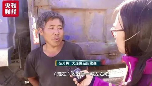 仙界捡破烂，仙界废品收集者的奇幻之旅--第1张