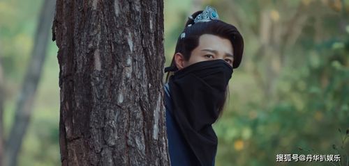偏执大佬的病娇小撩精，苏爆全球的甜蜜日常--第1张