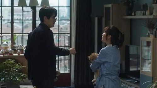 离婚后我成了五个舅舅的掌心宠短剧剧情资讯 离婚后我成了白月光的人小说免费 --第1张