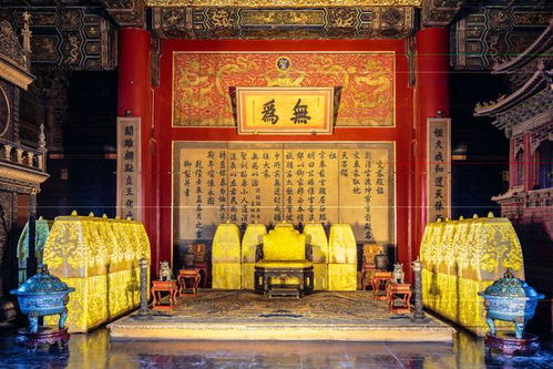 神龙殿短剧剧情资讯 神龙殿殿主 --第1张