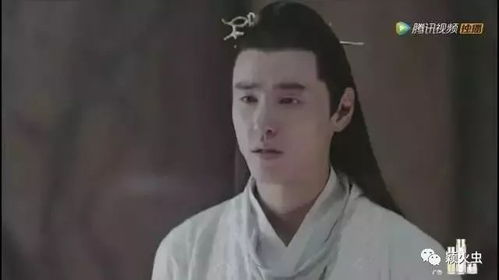 无极归来美美短剧，一场意外引发的爱情故事--第1张