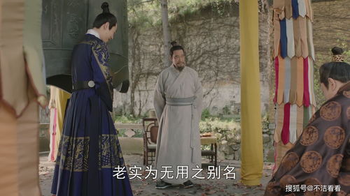 监国太子，短剧剧情资讯--第1张