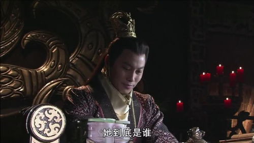 穿越时空当皇子，古代皇室秘闻 剧情资讯在线观看--第1张
