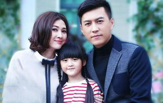 再见前夫短剧剧情，离婚后的生活与情感纠葛--第1张