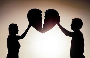不小心婚上你免费阅读，错婚离错爱--第1张