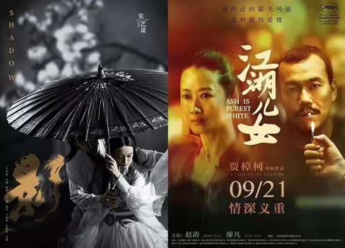 重返全短剧剧情资讯 《重返》 --第1张
