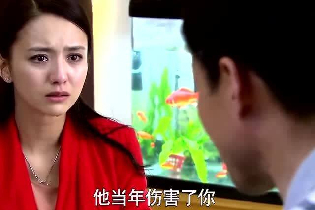 技师的神秘面纱，豪婿剧中的角色解析--第1张