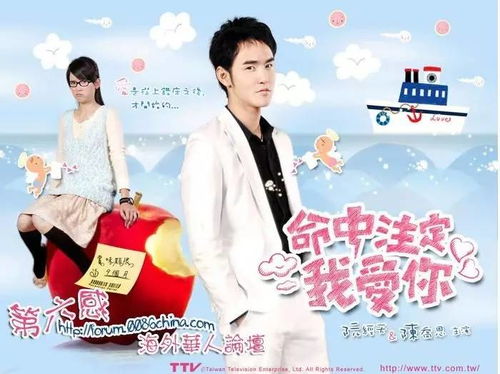 命中注定我爱你新版，我爱你，注定相遇--第1张