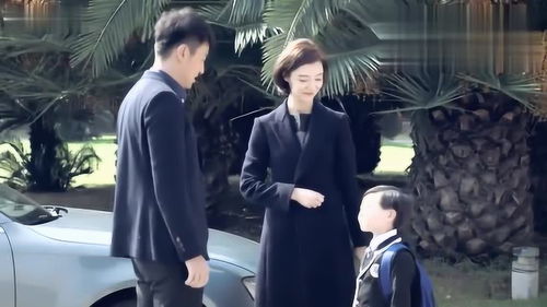 女总裁雇男保姆是电视剧女总裁的保姆生活--第1张