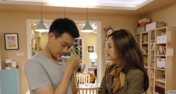 二妈秘密短剧全集资讯，剧情及二妈的丈夫叫什么--第1张