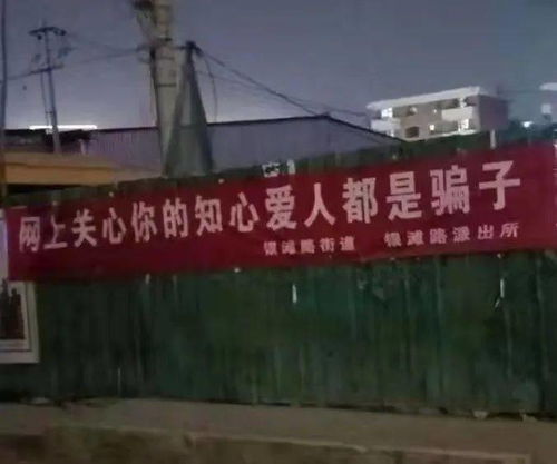 电视剧贺总的 贺总的复仇娇妻短剧全集资讯剧情 --第1张