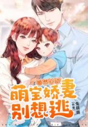 家有萌妻傅臣商主要内容 家有萌宝傅少的在逃小娇妻短剧全集资讯剧情 --第1张