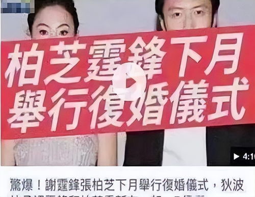 一胎双宝，夫人拒不复婚短剧全集剧情简介--第1张