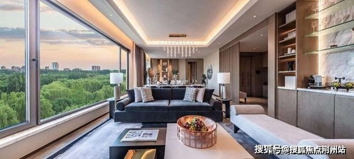 苏公指的是 苏公公寻香记短剧全集资讯剧情 --第1张