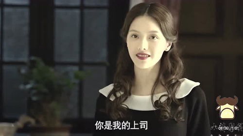 特工奶爸被美女总裁包围了短剧全集资讯剧情 特工奶爸之末世征途 小说 --第1张